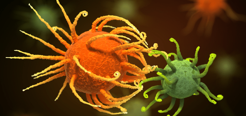 Parasitäre Einzeller sind der Auslöser von Trichomoniasis
