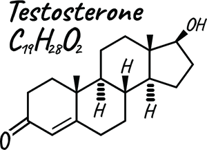 Die Formel für Testosteron.