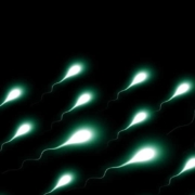 Spermafarbe