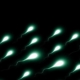 Spermafarbe