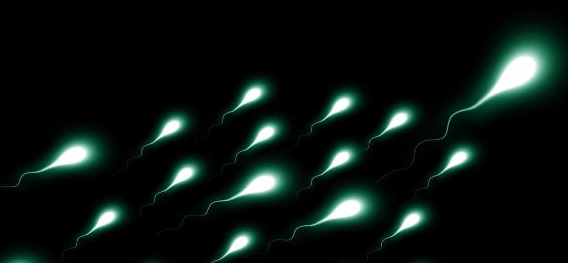 Spermafarbe